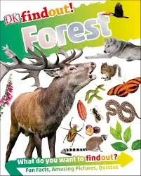 findout! Forest