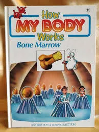 How My Body Works - Bone Marrow