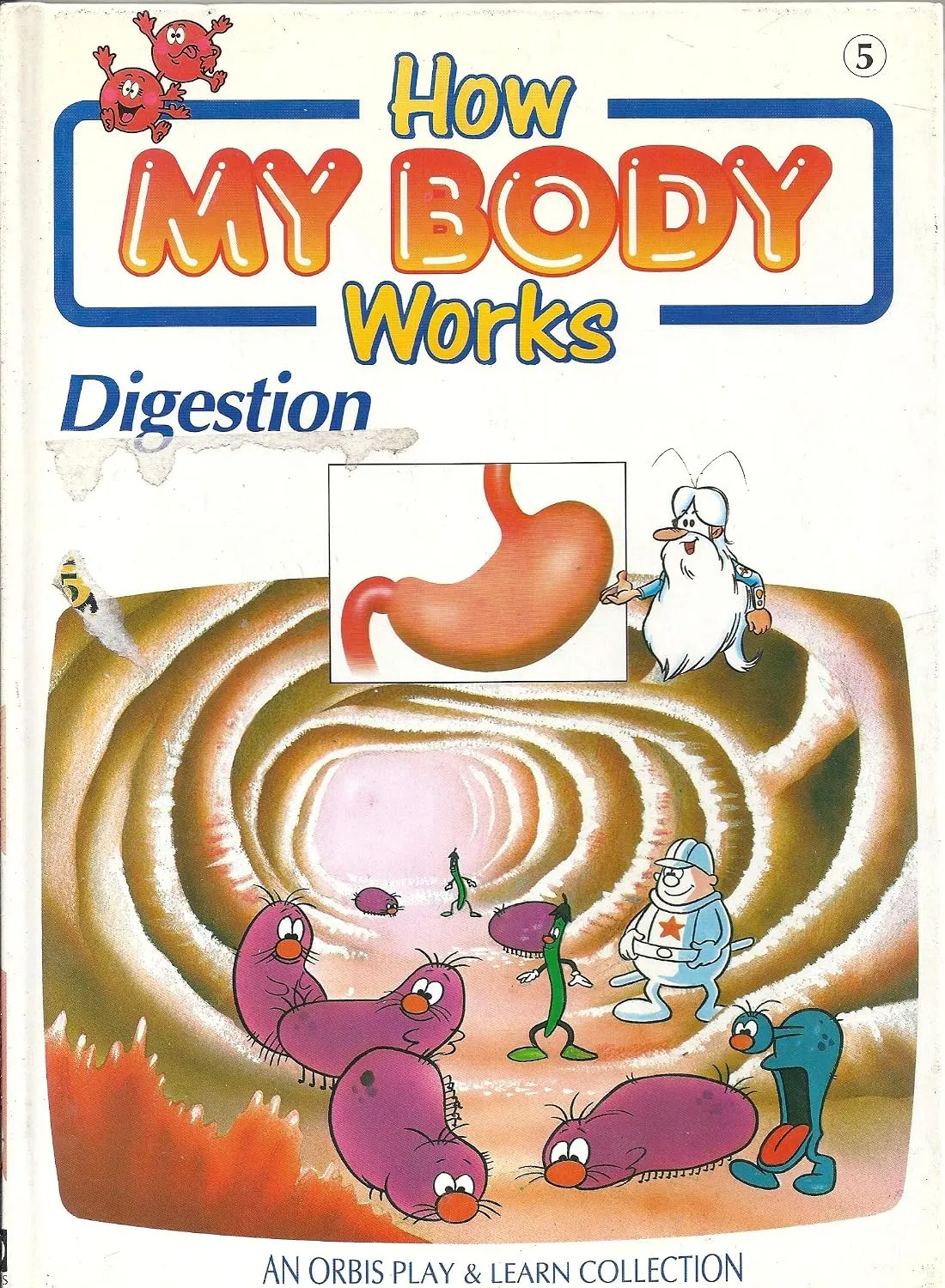 How My Body Works: Digestion