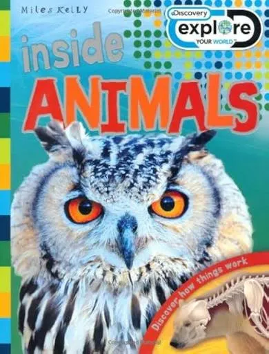 Inside Animals