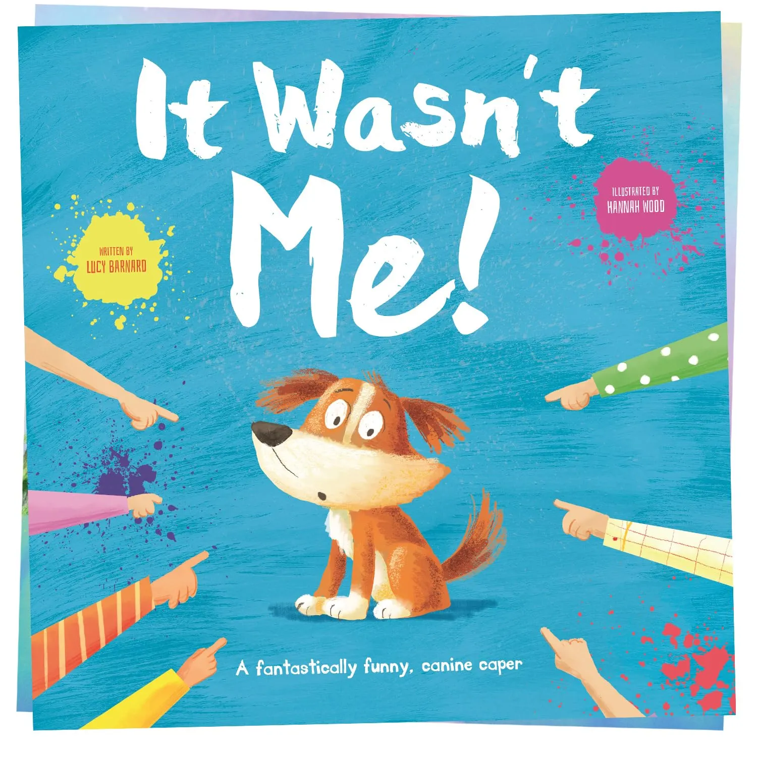 It Wasnt Me!
