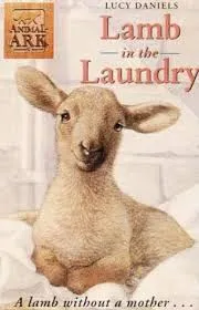 Lamb in the Laundry