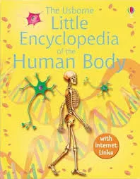 Little Encyclopedia Of The Human Body