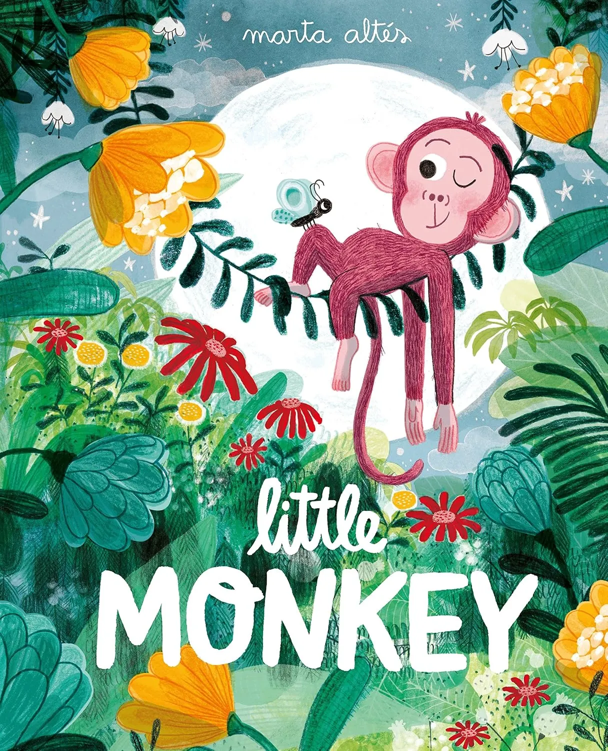 Little Monkey (Paperback)