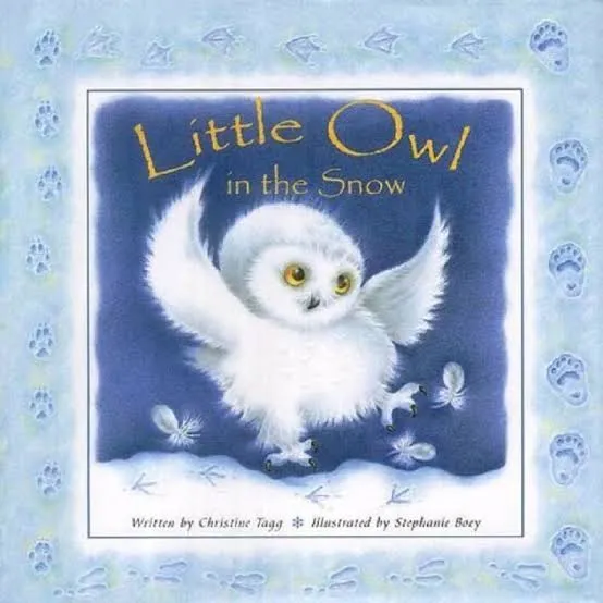 Little Owl in the Snow