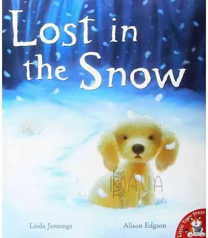 Lost in Snow book