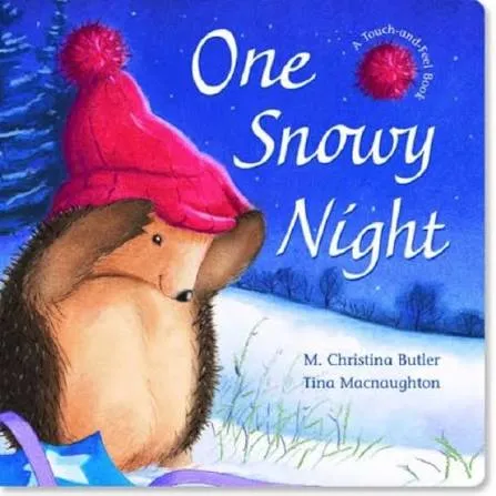 One Snowy Night Boardbook