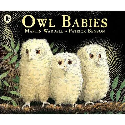 Owl Babies book