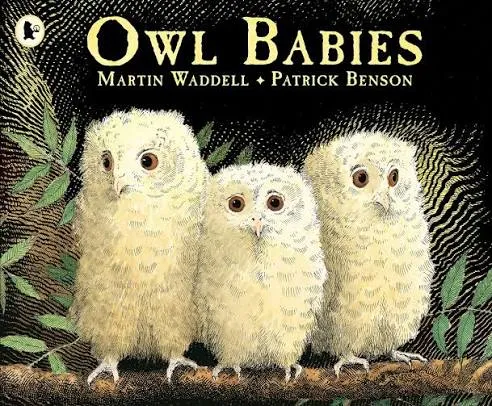 Owl Babies-