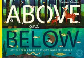 Above And Below