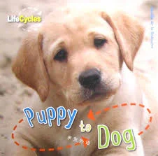 Puppy to Dog