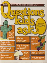 Questions Kids Ask About Plants
