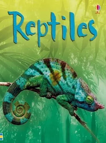 Reptiles - Usborne Beginners