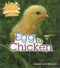 Science in Action - Egg to Chicken