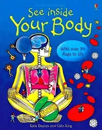 See Inside Your Body With Flaps Usborne