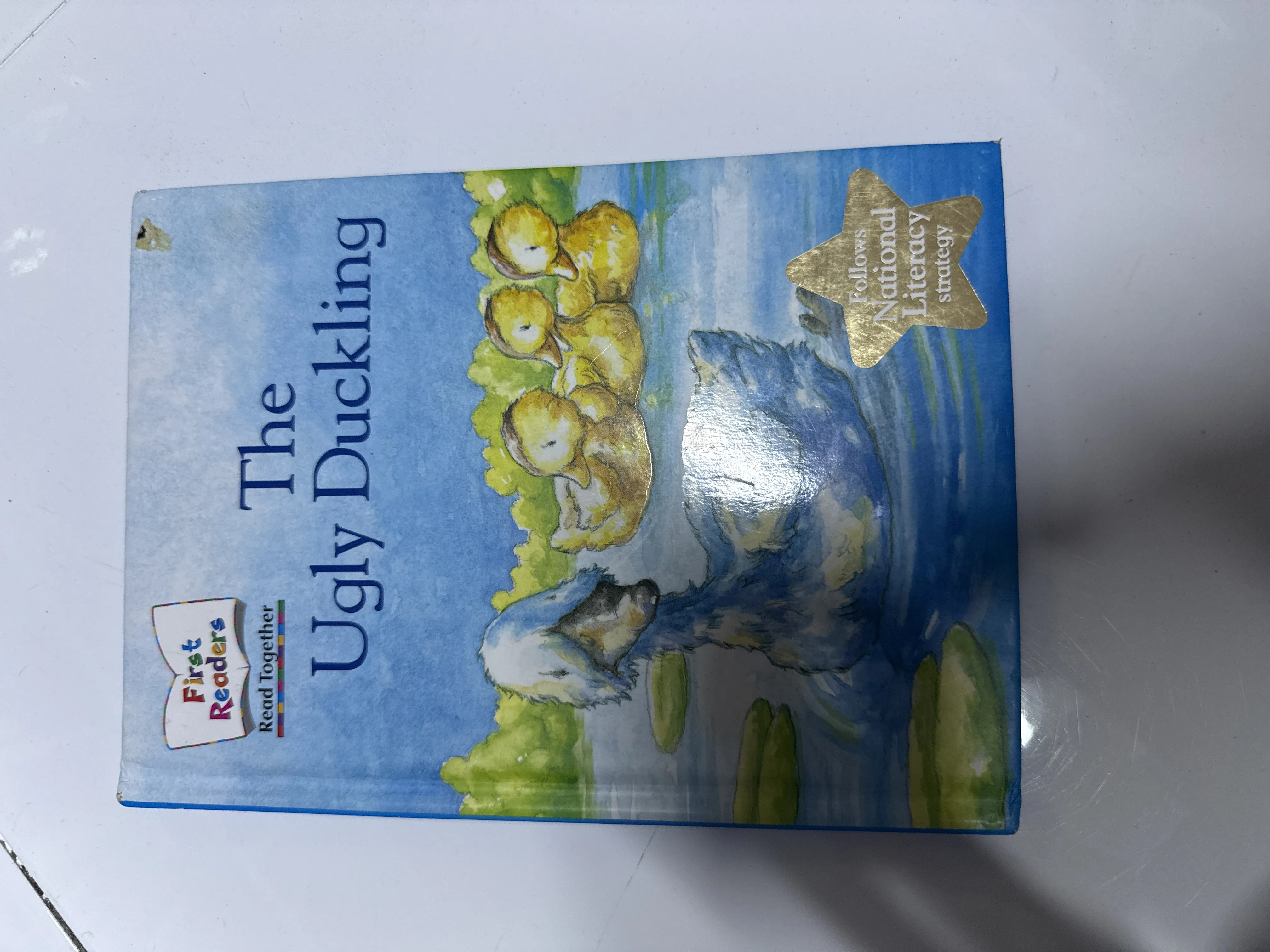 The UgIy Duckling