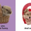 Baby Touch & Feel I Love You thumbnail 2