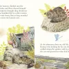 Peter Rabbits Bedtime Tale thumbnail 3
