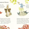 Peter Rabbits Bedtime Tale thumbnail 2