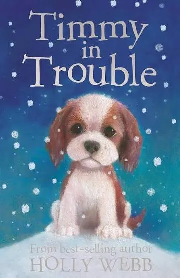 Timmy in TroubIe