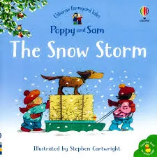 Usborne Farmyard Tales: The Snow Storm book
