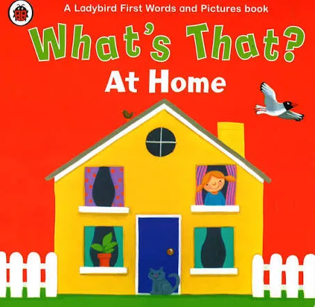 What's That? At Home - boardbook