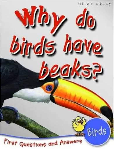 Why Do Birds Have Beaks? (First Questions And Answers)